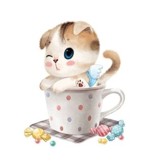 Meet your Posher, Ellen